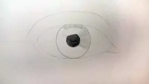 Как нарисовать глаз карандашом? Шаг второй. Портреты карандашом - Fenlin.ru