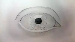 Как нарисовать глаз карандашом? Шаг третий. Портреты карандашом - Fenlin.ru