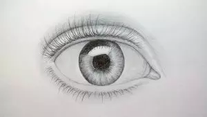 Как нарисовать глаз карандашом? Шаг восьмой. Портреты карандашом - Fenlin.ru