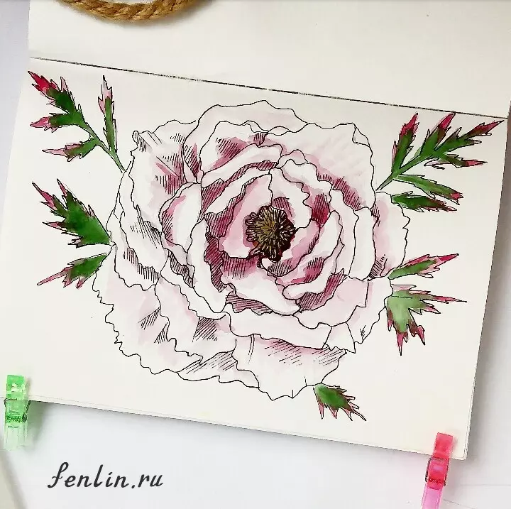 Цветной натюрморт карандашом цветок - Fenlin.ru