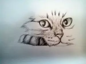 Как нарисовать кота карандашом? Шаг 11. Портреты карандашом - Fenlin.ru