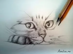 Как нарисовать кота карандашом? Шаг 12. Портреты карандашом - Fenlin.ru