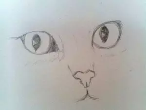 Как нарисовать кота карандашом? Шаг 4. Портреты карандашом - Fenlin.ru