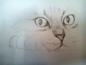 Как нарисовать кота карандашом? Шаг 6. Портреты карандашом - Fenlin.ru