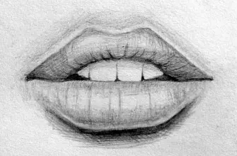 Как нарисовать губы карандашом? Портреты карандашом - Fenlin.ru