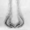 Как нарисовать нос человека карандашом? Портреты карандашом - Fenlin.ru