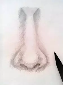 Как нарисовать нос человека карандашом? Шаг 11. Портреты карандашом - Fenlin.ru