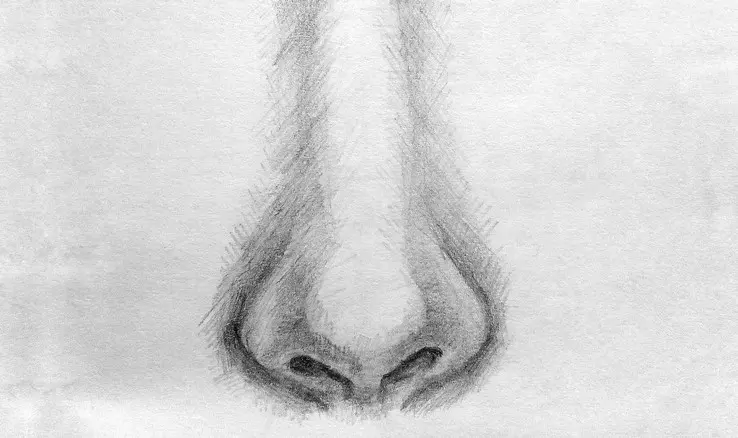 Как нарисовать нос человека карандашом? Портреты карандашом - Fenlin.ru
