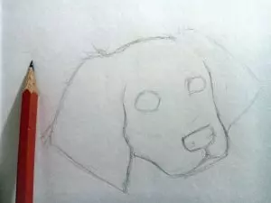 Как нарисовать собаку карандашом? Шаг 4. Портреты карандашом - Fenlin.ru