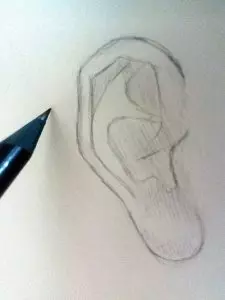 Как нарисовать ухо человека карандашом? Шаг 4. Портреты карандашом - Fenlin.ru
