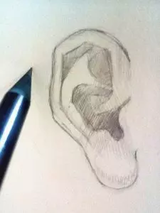Как нарисовать ухо человека карандашом? Шаг 5. Портреты карандашом - Fenlin.ru