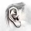 Как нарисовать ухо человека карандашом? Портреты карандашом - Fenlin.ru