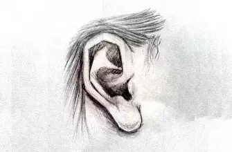 Как нарисовать ухо человека карандашом? Портреты карандашом - Fenlin.ru