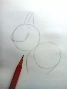 Как нарисовать белку карандашом? Шаг 3. Портреты карандашом - Fenlin.ru