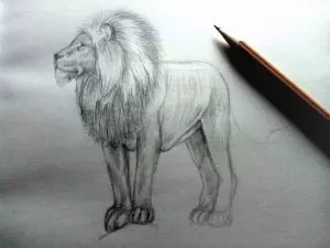 Как нарисовать льва карандашом? Шаг 10. Портреты карандашом - Fenlin.ru