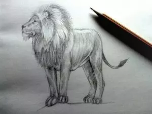 Как нарисовать льва карандашом? Шаг 11. Портреты карандашом - Fenlin.ru