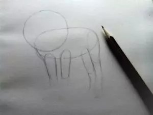 Как нарисовать льва карандашом? Шаг 3. Портреты карандашом - Fenlin.ru