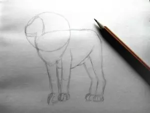 Как нарисовать льва карандашом? Шаг 5. Портреты карандашом - Fenlin.ru