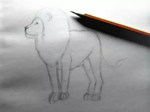 Как нарисовать льва карандашом? Шаг 6. Портреты карандашом - Fenlin.ru