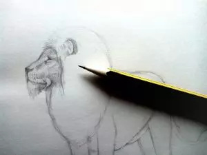 Как нарисовать льва карандашом? Шаг 7. Портреты карандашом - Fenlin.ru
