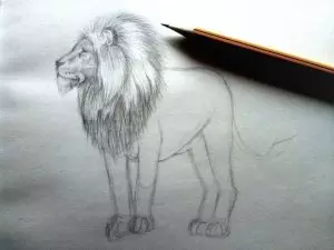 Как нарисовать льва карандашом? Шаг 8. Портреты карандашом - Fenlin.ru