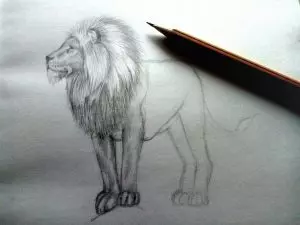 Как нарисовать льва карандашом? Шаг 9. Портреты карандашом - Fenlin.ru
