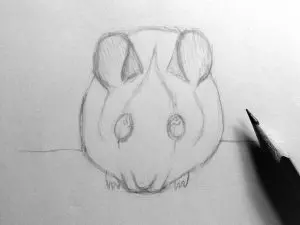 Как нарисовать мышку карандашом? Шаг 10. Портреты карандашом - Fenlin.ru