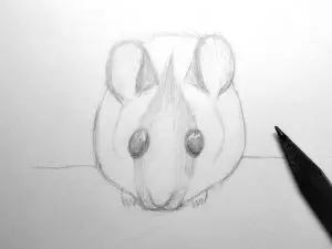 Как нарисовать мышку карандашом? Шаг 12. Портреты карандашом - Fenlin.ru