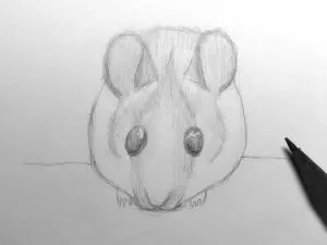 Как нарисовать мышку карандашом? Шаг 13. Портреты карандашом - Fenlin.ru