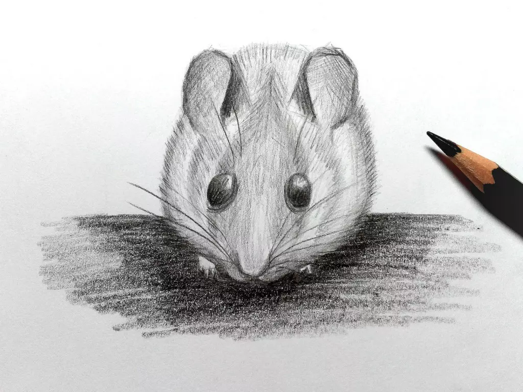 Рисунки животных простым карандашом. Животные карандашом. Рисунки карандашом животные. Красивый рисунок карандашом легкий. Мышка карандашом.