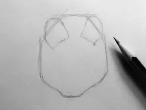 Как нарисовать мышку карандашом? Шаг 3. Портреты карандашом - Fenlin.ru
