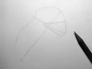 Как нарисовать орла карандашом? Шаг 3. Портреты карандашом - Fenlin.ru