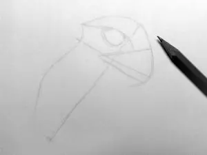 Как нарисовать орла карандашом? Шаг 4. Портреты карандашом - Fenlin.ru