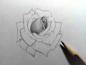 Как нарисовать розу карандашом? Шаг 12. Портреты карандашом - Fenlin.ru