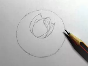 Как нарисовать розу карандашом? Шаг 5. Портреты карандашом - Fenlin.ru