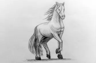 Как нарисовать лошадь карандашом? Поэтапный урок. Портреты карандашом - Fenlin.ru