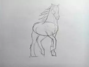 Как нарисовать лошадь карандашом? Поэтапный урок. Шаг 11. Портреты карандашом - Fenlin.ru