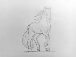 Как нарисовать лошадь карандашом? Поэтапный урок. Шаг 12. Портреты карандашом - Fenlin.ru