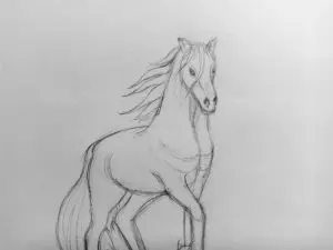Как нарисовать лошадь карандашом? Поэтапный урок. Шаг 13. Портреты карандашом - Fenlin.ru