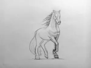 Как нарисовать лошадь карандашом? Поэтапный урок. Шаг 15. Портреты карандашом - Fenlin.ru