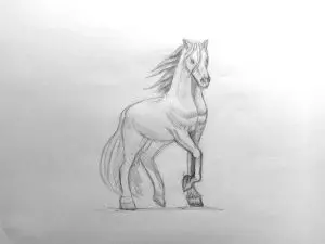 Как нарисовать лошадь карандашом? Поэтапный урок. Шаг 16. Портреты карандашом - Fenlin.ru