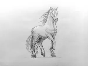 Как нарисовать лошадь карандашом? Поэтапный урок. Шаг 17. Портреты карандашом - Fenlin.ru