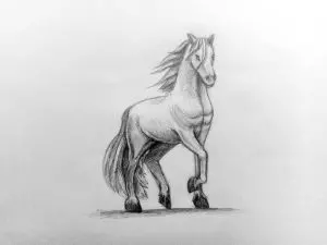Как нарисовать лошадь карандашом? Поэтапный урок. Шаг 18. Портреты карандашом - Fenlin.ru