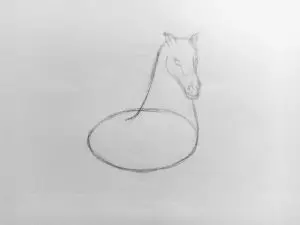 Как нарисовать лошадь карандашом? Поэтапный урок. Шаг 6. Портреты карандашом - Fenlin.ru