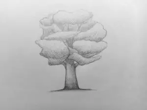 Как нарисовать дерево карандашом? Поэтапный урок. Шаг 10. Портреты карандашом - Fenlin.ru