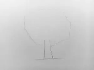 Как нарисовать дерево карандашом? Поэтапный урок. Шаг 2. Портреты карандашом - Fenlin.ru