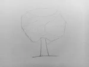 Как нарисовать дерево карандашом? Поэтапный урок. Шаг 3. Портреты карандашом - Fenlin.ru
