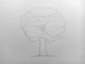 Как нарисовать дерево карандашом? Поэтапный урок. Шаг 5. Портреты карандашом - Fenlin.ru