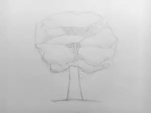 Как нарисовать дерево карандашом? Поэтапный урок. Шаг 6. Портреты карандашом - Fenlin.ru