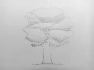 Как нарисовать дерево карандашом? Поэтапный урок. Шаг 7. Портреты карандашом - Fenlin.ru